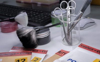 ¿Cómo se investigan los delitos sexuales en Madrid? – Guía completa